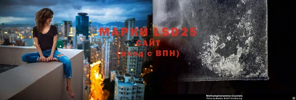 гашик Каменногорск