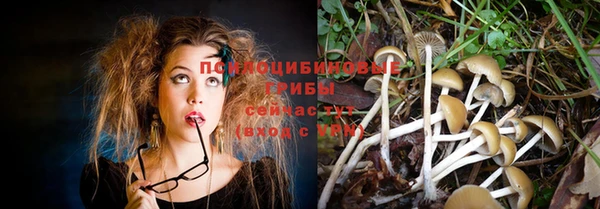 Альфа ПВП Каменск-Шахтинский