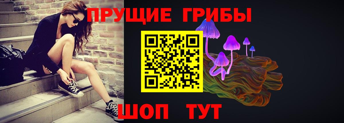 Псилоцибиновые грибы мухоморы Дербент